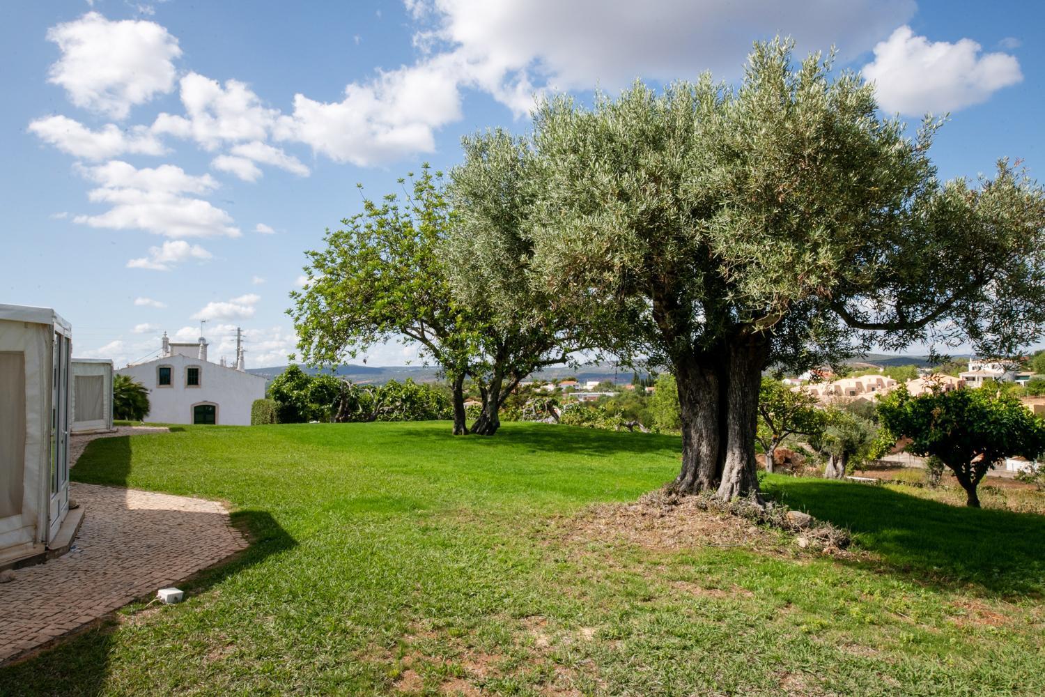 Cerca Velha - Country House Albufeira Zewnętrze zdjęcie